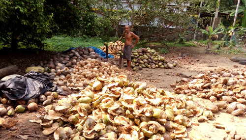 cochin kochi sight seeing