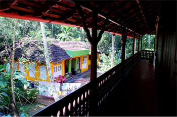 Village tour in kerala Kochi sightseeing Cochin city sightseeing Day tour in kochi Kerala village tour