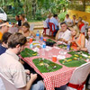 Village tour in kerala Kochi sightseeing Cochin city sightseeing Day tour in kochi Kerala village tour Sightseeing options in kochi